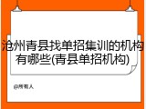 沧州青县找单招集训的机构有哪些(青县单招机构)