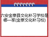 六安金寨县文化补习学校是哪一家(金寨文化补习校)