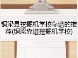 铜梁县挖掘机学校靠谱的推荐(铜梁靠谱挖掘机学校)