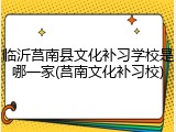 临沂莒南县文化补习学校是哪一家(莒南文化补习校)