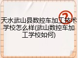 天水武山县数控车加工技术学校怎么样(武山数控车加工学校如何)