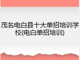 茂名电白县十大单招培训学校(电白单招培训)