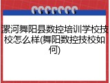 漯河舞阳县数控培训学校技校怎么样(舞阳数控技校如何)