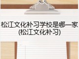 松江文化补习学校是哪一家(松江文化补习)