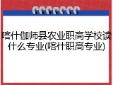 喀什伽师县农业职高学校读什么专业(喀什职高专业)