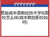 恩施咸丰县数控技术学校职校怎么样(咸丰数控职校如何)