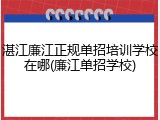 湛江廉江正规单招培训学校在哪(廉江单招学校)