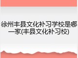 徐州丰县文化补习学校是哪一家(丰县文化补习校)
