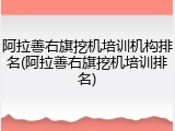 阿拉善右旗挖机培训机构排名(阿拉善右旗挖机培训排名)