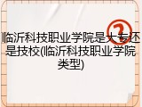 临沂科技职业学院是大专还是技校(临沂科技职业学院类型)
