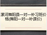 漯河舞阳县一对一补习班价格(舞阳一对一补课价)