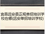 宜昌远安县正规单招培训学校在哪(远安单招培训学校)