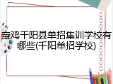 宝鸡千阳县单招集训学校有哪些(千阳单招学校)