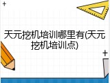 天元挖机培训哪里有(天元挖机培训点)