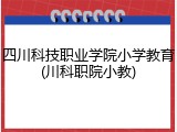 四川科技职业学院小学教育(川科职院小教)