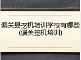 偏关县挖机培训学校有哪些(偏关挖机培训)