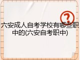 六安成人自考学校有哪些职中的(六安自考职中)