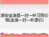 淮安金湖县一对一补习班价格(金湖一对一补课价)