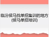 临汾侯马找单招集训的地方(侯马单招培训)