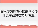 衡水枣强县农业职高学校读什么专业(枣强农职专业)