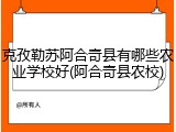 克孜勒苏阿合奇县有哪些农业学校好(阿合奇县农校)