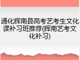 通化辉南县高考艺考生文化课补习班推荐(辉南艺考文化补习)