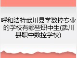 呼和浩特武川县学数控专业的学校有哪些职中生(武川县职中数控学校)