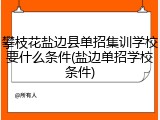 攀枝花盐边县单招集训学校要什么条件(盐边单招学校条件)