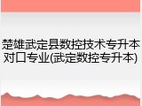 楚雄武定县数控技术专升本对口专业(武定数控专升本)