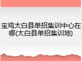 宝鸡太白县单招集训中心在哪(太白县单招集训地)