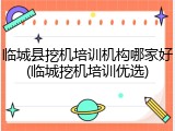临城县挖机培训机构哪家好(临城挖机培训优选)