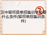 汉中留坝县单招集训学校要什么条件(留坝单招集训条件)