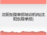 沈阳东陵单招培训机构(沈阳东陵单招)