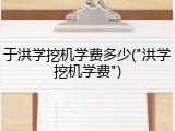 于洪学挖机学费多少("洪学挖机学费")