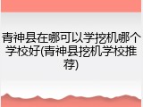 青神县在哪可以学挖机哪个学校好(青神县挖机学校推荐)