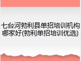 七台河勃利县单招培训机构哪家好(勃利单招培训优选)