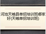 河池天峨县单招培训班哪家好(天峨单招培训班)