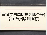 宣城宁国单招培训哪个好(宁国单招培训推荐)
