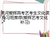 黑河爱辉高考艺考生文化课补习班推荐(爱辉艺考文化补习)