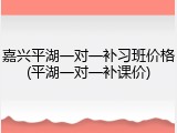 嘉兴平湖一对一补习班价格(平湖一对一补课价)