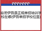 哈密伊吾县正规单招培训学校在哪(伊吾单招学校位置)
