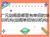 广元剑阁县哪里有单招的培训机构(剑阁单招培训机构)