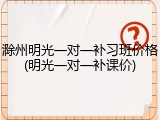 滁州明光一对一补习班价格(明光一对一补课价)