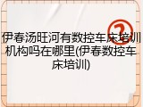 伊春汤旺河有数控车床培训机构吗在哪里(伊春数控车床培训)
