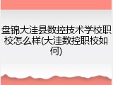 盘锦大洼县数控技术学校职校怎么样(大洼数控职校如何)