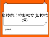 科技芯片控制辣文(智控芯辣)