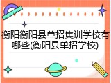 衡阳衡阳县单招集训学校有哪些(衡阳县单招学校)