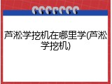 芦淞学挖机在哪里学(芦淞学挖机)
