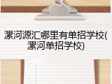 漯河源汇哪里有单招学校(漯河单招学校)