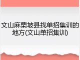 文山麻栗坡县找单招集训的地方(文山单招集训)
